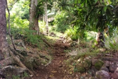 IMG-20180805-WA0440