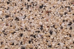 arrena grava