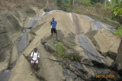 lapa-awal