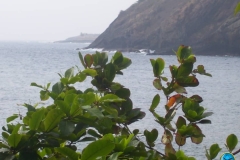 IMG-20180724-WA0006
