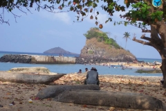 IMG-20180724-WA0014