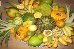 fta-guinea-e