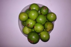 göva