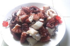 picapuluvu