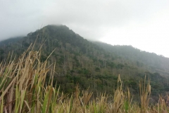 IMG-20180805-WA0207