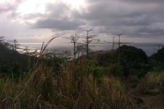 IMG-20180805-WA0227