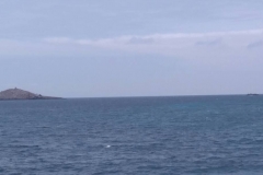 IMG-20180805-WA0301