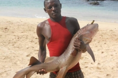 pescador zenis