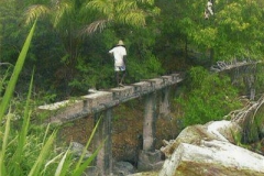 puente aho