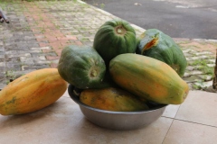 IMG-20200229-WA0025