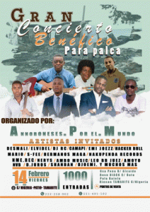 cartel del concierto por palea
